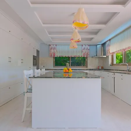 וילה Belis&liya פאטהיה