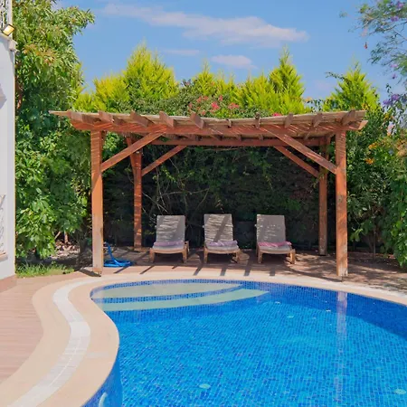 فيلة Belis&liya *